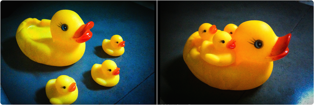 Mama Ducky, baby duckies