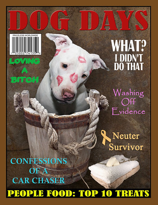 innocent-doggie-pic.jpg
